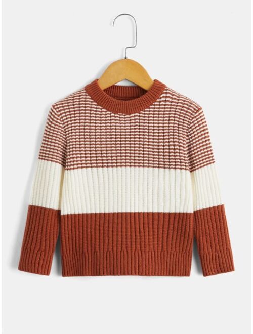 Shein Toddler Boys Striped Pattern Colorblock Sweater