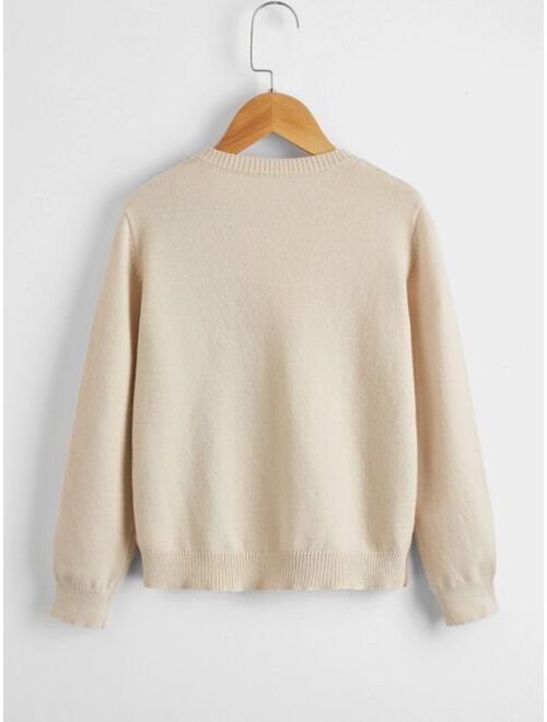 SHEIN Boys Color Block Sweater