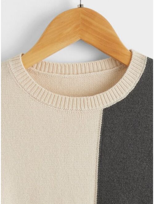 SHEIN Boys Color Block Sweater