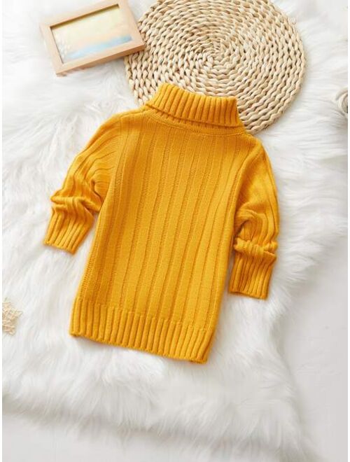 Shein Boys Solid Turtleneck Sweater