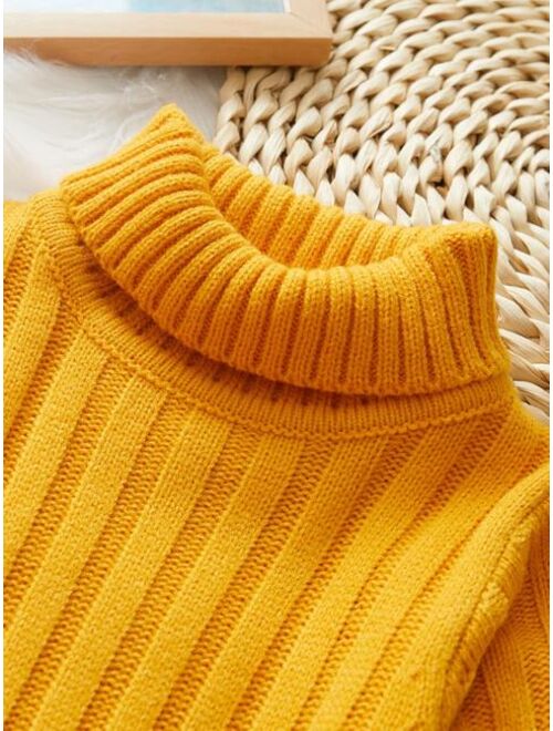 Shein Boys Solid Turtleneck Sweater