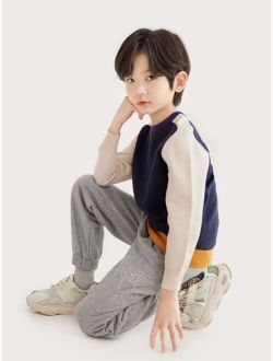 Boys 1pc Cut And Sew Sweater