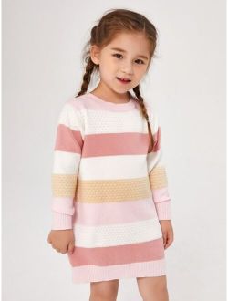 Toddler Girls Colorblock Sweater Dress