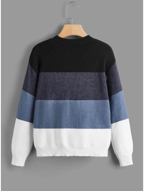 SHEIN Boys Color Block Drop Shoulder Sweater