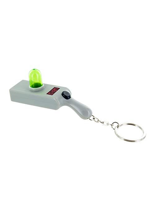 Paladone Rick and Morty Portal Gun Key Ring Light Key Chain