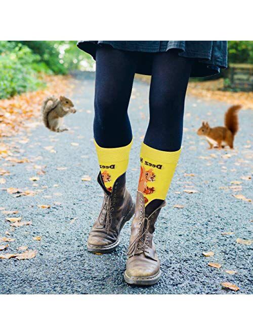 TC9SOCKS Funny Socks Deez Nuts Meme Socks Squirrel Lovers Socks Fun Socks Unisex Funky Socks Casual Dress Socks