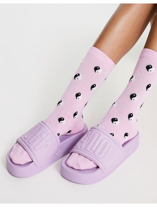 Buffalo Lake Quilt slides in lavender