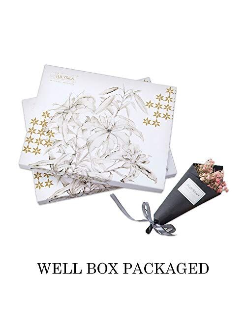 LilySilk Mens Real Silk Robe 22 Momme Bath Robes Luxury Contrast Full Length 100 Silk Male Long