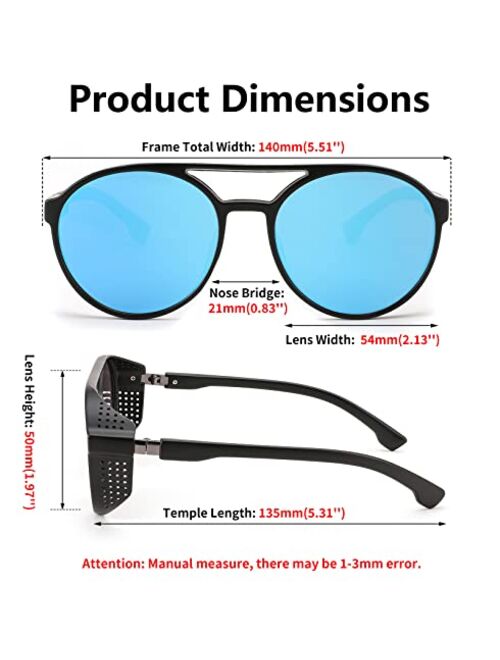 FEISEDY Classic Steampunk Sunglasses for Men Women Retro Round Gothic Shades Eyewear UV400 Protection B2957