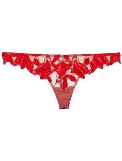 Lily embroidered thong