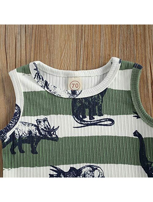 Yingisfitm 2Pcs Baby Boys Summer Clothing Sets Dinosaur Clothes Cute Letters Print Sleeveless Tank Tops T-Shirt+Palm Shorts Outfits