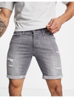 denim shorts in slim fit with rips in gray
