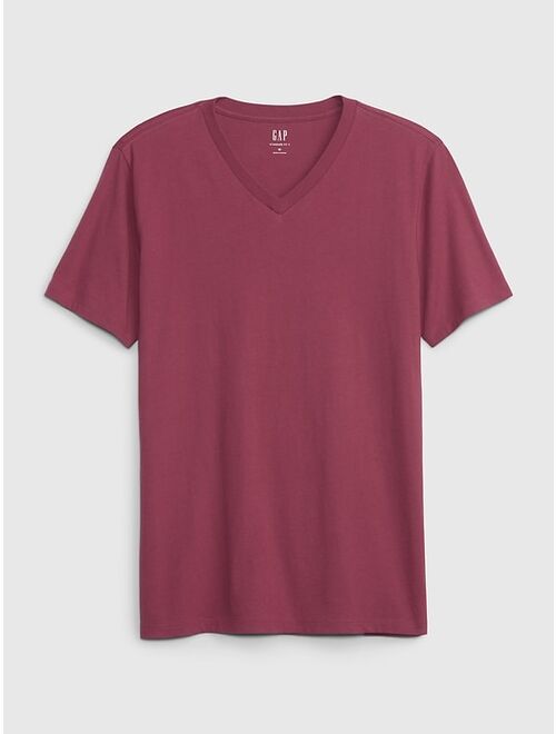Gap Standard V-Neck T-Shirt