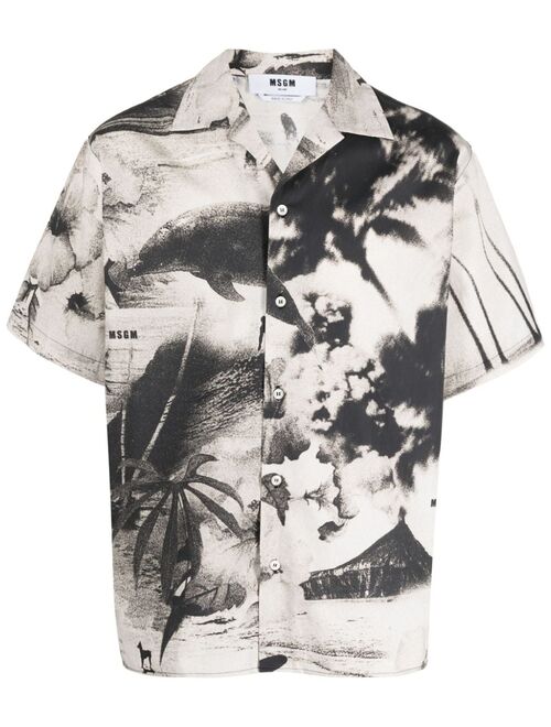 MSGM short-sleeve palm tree-print shirt
