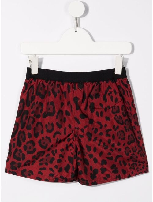 Dolce & Gabbana Kids leopard-print swim shorts