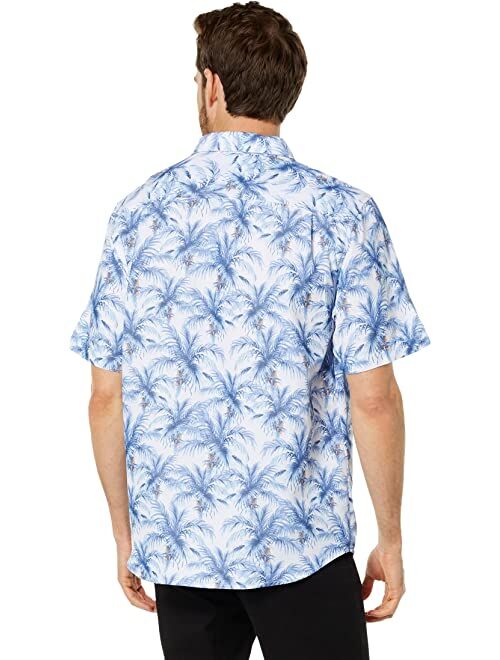 Tommy Bahama Coconut Point Painterly Palms