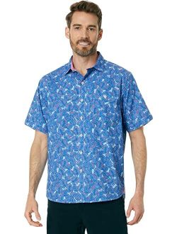 Nova Wave Palm Oasis