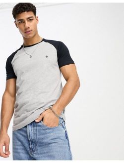 raglan t-shirt in light gray & navy