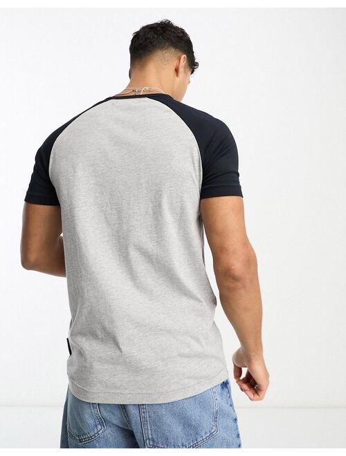 French Connection raglan t-shirt in light gray & navy