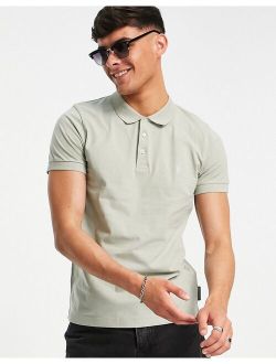 polo in sage