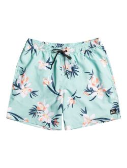 Quicksilver Men's Everyday Mix Volley 17" Swim Shorts