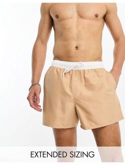 swim shorts in short length with contrast waistband in beige