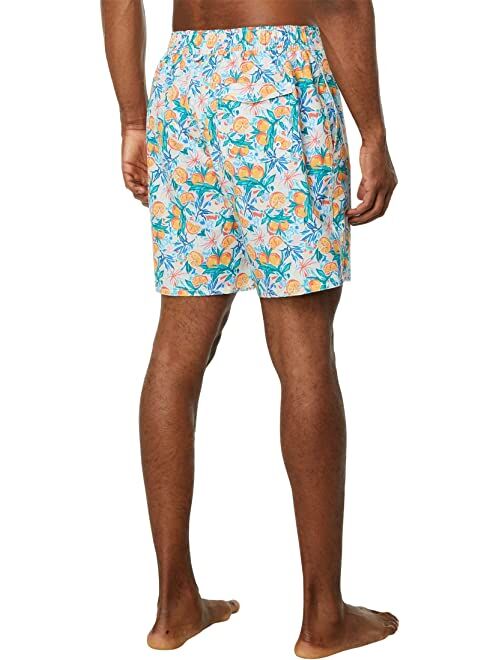 Johnnie o johnnie-O Del Sol Swim Suit