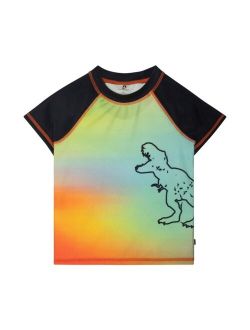Boy Short Sleeve Rashguard Multicolor Dinosaur Print - Toddler|Child