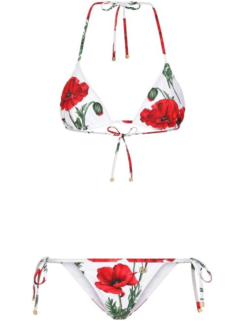 Dolce & Gabbana floral-print triangle bikini