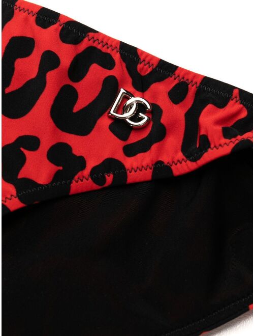 Dolce & Gabbana leopard-print bikini set