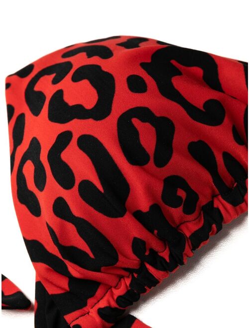Dolce & Gabbana leopard-print bikini set