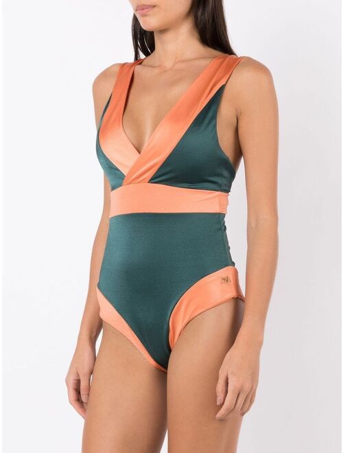 Brigitte panelled V-neck swimsuit