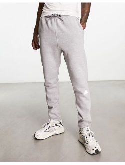 fleece sweatpants in gray