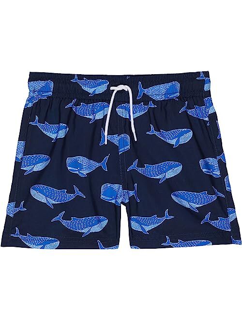 Janie and Jack Printed Swim Trunks (Toddler/Little Kids/Big Kids)