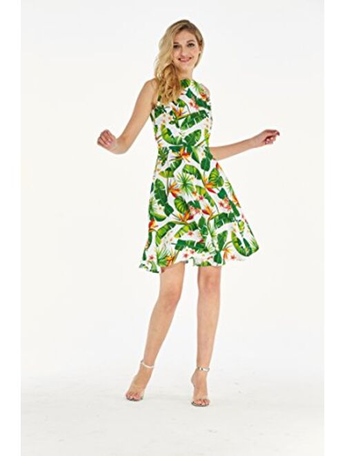 Hawaii Hangover Women's Vintage Fit and Flare Dress in Tropical Patterns