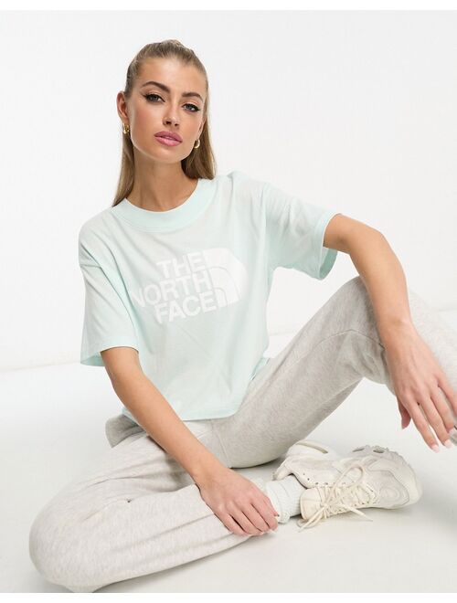 The North Face Half Dome cropped chest print T-shirt in baby blue