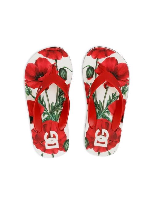 Dolce & Gabbana Kids poppy-print flip flops