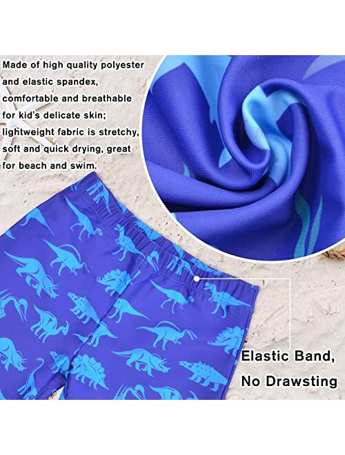 Sylfairy Boys Two Piece Rash Guard Swimsuits Kids Long Sleeve Sunsuit Swimwear Sets Bathing Suit