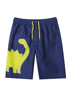 LIZENS Boys Swim Trunks UPF 50+ Quick Dry Beach Bathing Suit Toddler Swimsuit Swimwear