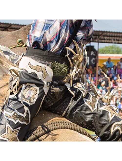 RechicGu Western Belt Buckle 3D Engraved Long Horn Bull Cowboy Texas Rodeo Belt Bukles for Men Women Gold