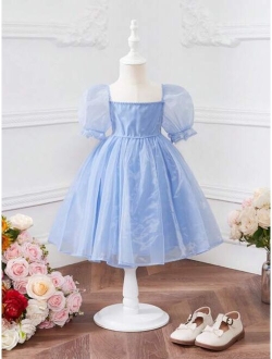 Toddler Girls Puff Sleeve Organza Dress