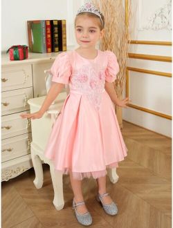 Toddler Girls Floral Embroidery Puff Sleeve Mesh Overlay Party Dress