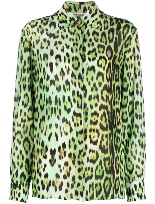 Roberto Cavalli leopard-print long-sleeve shirt
