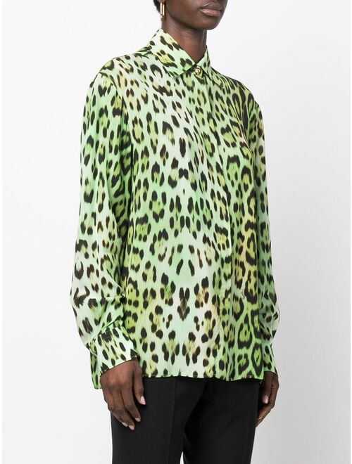 Roberto Cavalli leopard-print long-sleeve shirt