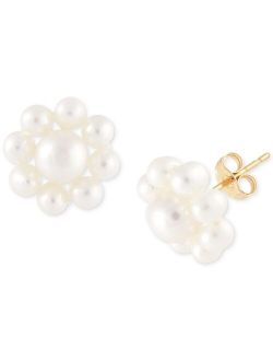 Macy's Cultured Freshwater Pearl (2-3/4 - 4-1/2mm) Flower Stud Earrings in 14K Gold