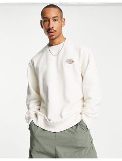 Icon washed sweatshirt in off white