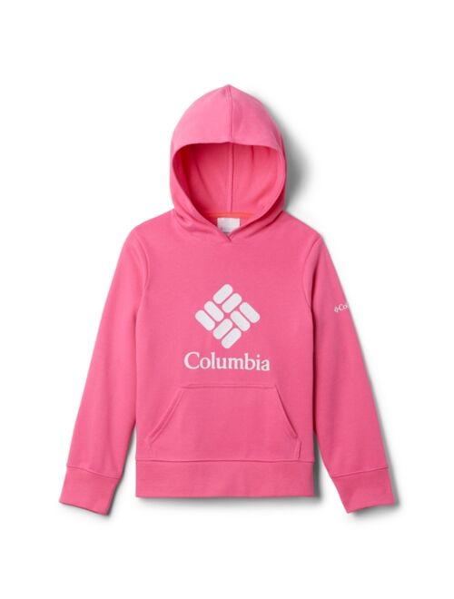 COLUMBIA Big Girls Trek French Terry Pullover Hoodie