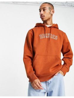 Union Spring hoodie in brown
