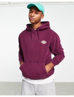 Icon washed logo hoodie in purple