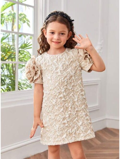 SHEIN Kids CHARMNG Toddler Girls Appliques Detail Jacquard Dress